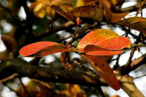 Autumn-58.jpg